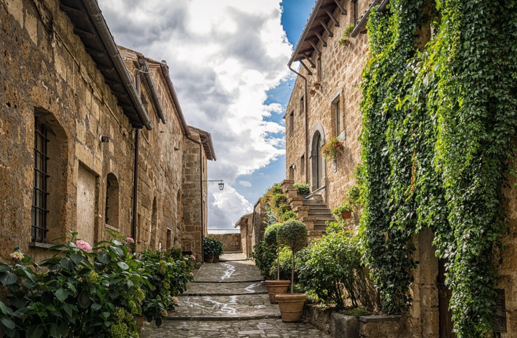 Por outro lado, todas as partes da hera são tóxicas se ingeridas, podendo causar irritação na pele, vômitos e outros sintomas em humanos e animais. 