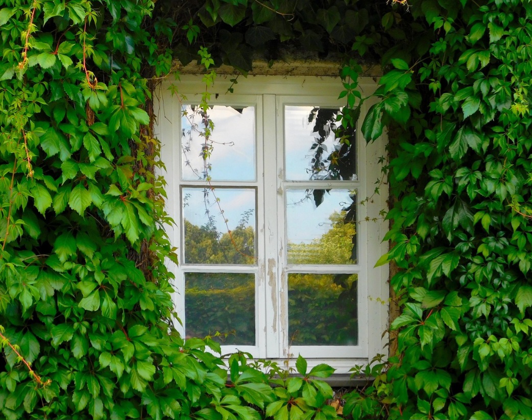 Nesse sentido, esse tipo de cobertura vegetal é uma alternativa sustentável às pinturas e aos revestimentos sintéticos, assim como ajuda a controlar a temperatura dos ambientes.