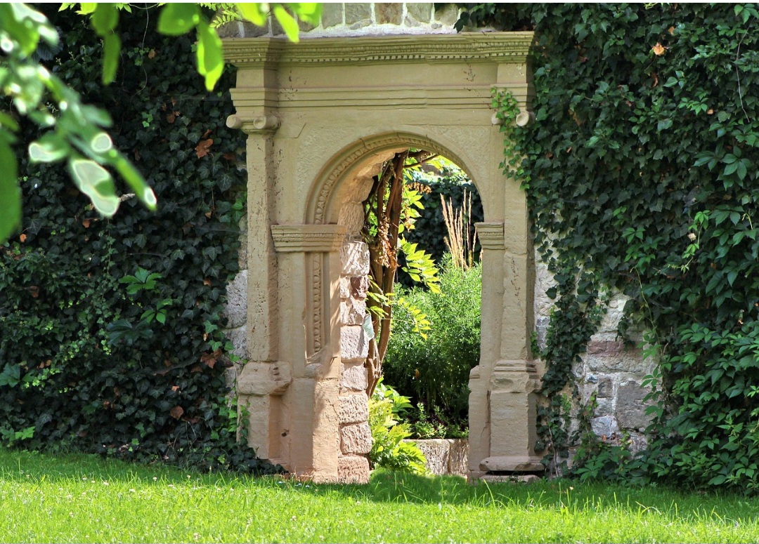 Acredita-se, portanto, que a presença dessa planta em um ambiente ajuda a afastar energias negativas e a estabelecer uma atmosfera de harmonia e equilíbrio.