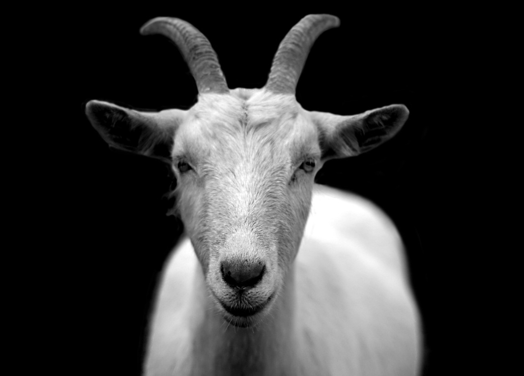 No Irã, uma placa de bronze datada entre 1500 a.C. e 700 a.C. retrata dois íbex ladeando uma mulher em trabalho de parto, evocando tradições artísticas neolíticas. 