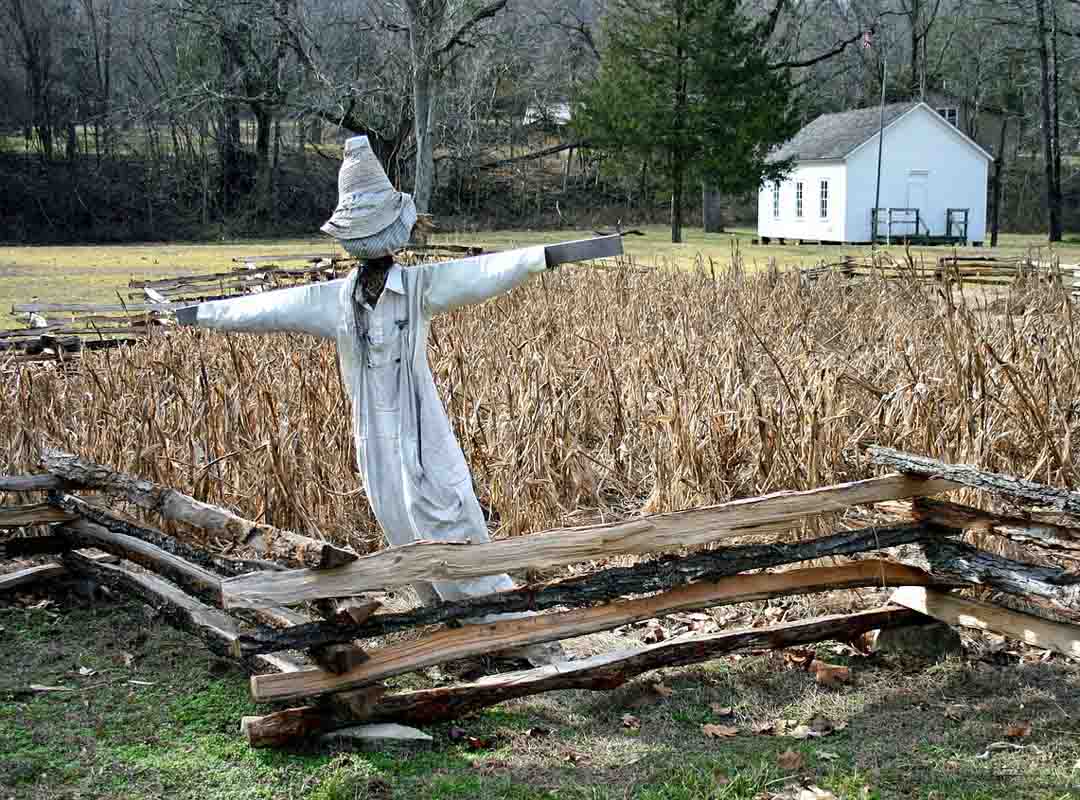 O uso de espantalhos em plantações tem sua origem no Egito antigo, há mais de cinco mil anos. Para espantar as codornas, os proprietários de terra recorriam a armações de madeira com rede que capturava a ave. 
