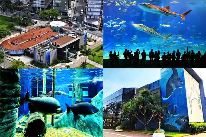 Aquário Municipal - Inaugurado há quase 80 anos, é um dos mais famosos espaços de lazer da cidade. Com 32 tanques, apresenta aos visitantes espécies diversas da vida aquática brasileira.

