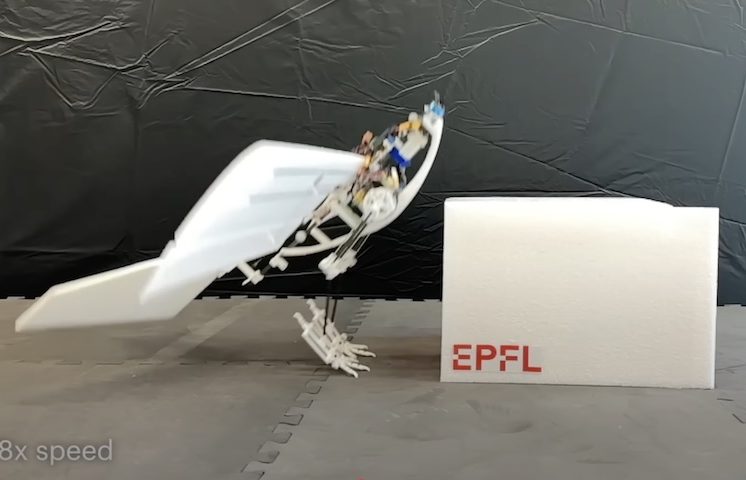 Seu sistema de pernas, que imita as articulações de aves, permite que ele impulsione seu voo com um salto, economizando energia e alcançando lugares inacessíveis para drones tradicionais.