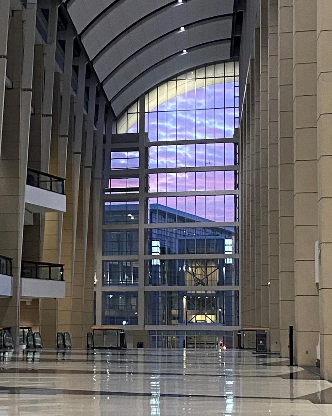 As aves migram à noite e a iluminação artificial pode ofuscar a navegação noturna dos animais, levando a colisões com superfícies refletivas ou edifícios envidraçados.