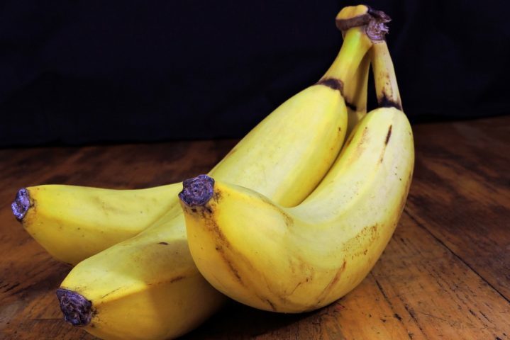 De acordo com uma pesquisa recente, publicada na revista Nature Microbiology, um fungo chamado de mal-do-Panamá, está ameaçando a produção global de bananas, assim como aconteceu com a banana Gros Michel no passado.