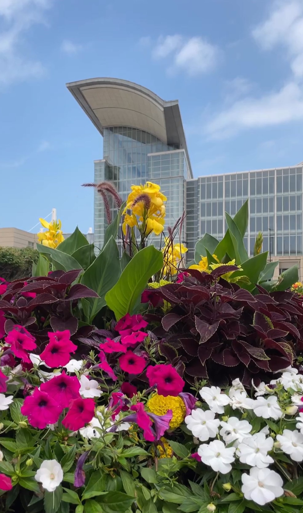 Um estudo foi publicado na revista Nature Communications e analisou o tamanho dessa ameaça para os animais. 