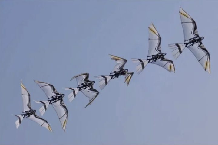 Pesquisadores chineses desenvolveram um robô que imita os movimentos de pássaros e morcegos de maneira autônoma.