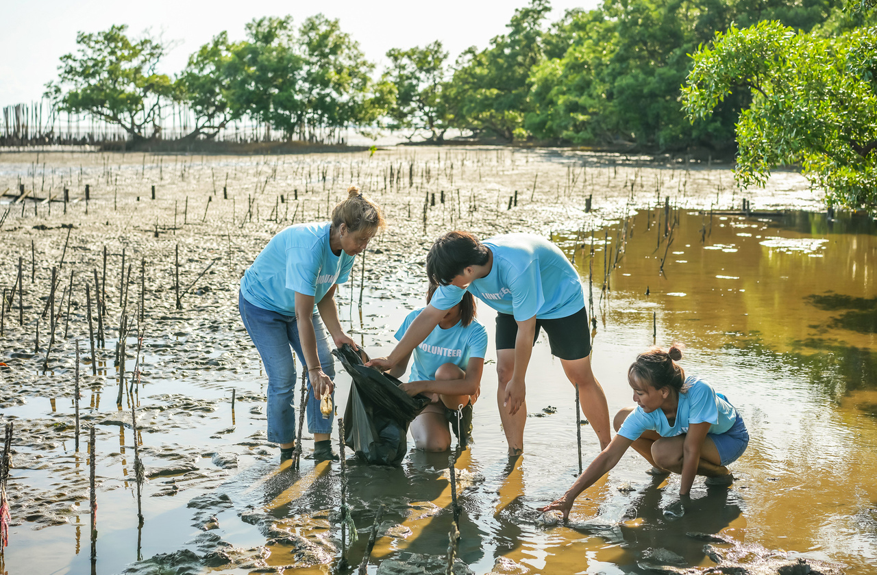A conservação em Muisne envolve moradores que atuam no reflorestamento e monitoramento ambiental. Essa inclusão social é vista como chave para o sucesso dos projetos e, assim, comunidades fortalecidas tendem a proteger melhor seus ecossistemas.