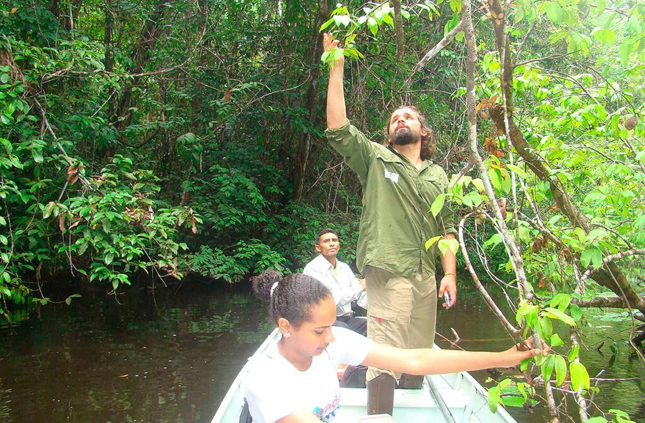 A floresta que anda é estudada por ecólogos interessados em dinâmica costeira e adaptação vegetal. O fenômeno oferece pistas sobre resiliência ecológica em ambientes extremos, enquanto pesquisas ajudam a prever como manguezais responderão às mudanças climáticas.