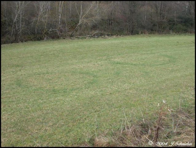 Mas, segundo os pesquisadores, os novos padrões descobertos não são suficientes para serem considerados círculos de fadas genuínos.