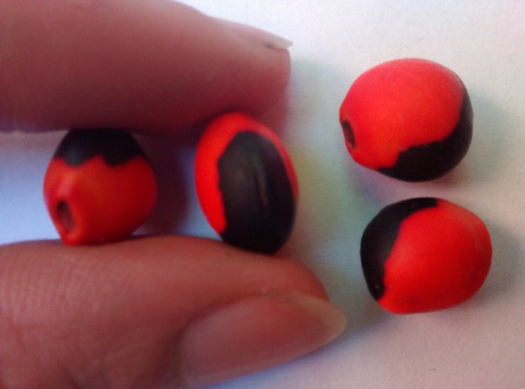 Olho de Cabra- Também chamado de semente de olho de cabra, é um amuleto da sorte originário da América do Sul. Geralmente encontrado em lojas de artesanato ou online, é uma semente da árvore Ormosia coccinea, naturalmente polida pela água e pedras dos rios. Carregá-lo como amuleto, segundo a crença, traz proteção espiritual e afasta energias negativas.