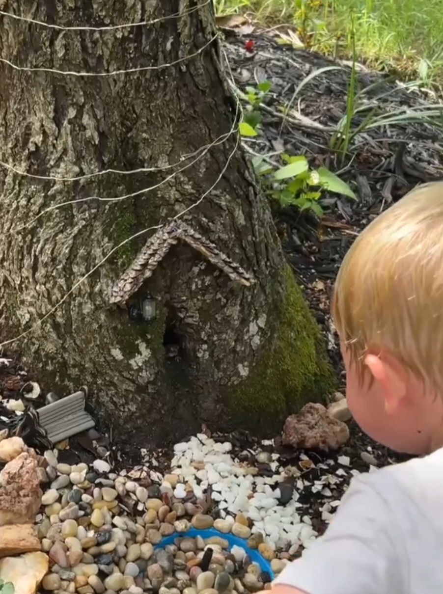 Em um deles, o simpático anfíbio escreve: Obrigado por decorar minha casa, Theo. Você é um bom amigo.