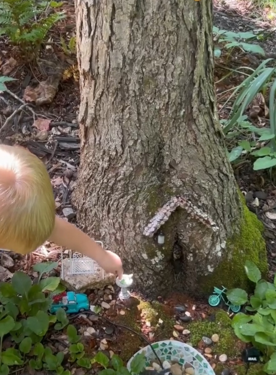 Afinal, construiu uma mini piscina, um jardim e instalou luzes para atrair insetos, o prato favorito do novo morador. Nas redes sociais, Sara compartilha vídeos mostrando a dedicação do filho - ele conversa com o sapo, enfeita o espaço conforme as estações e até troca bilhetes com o amigo.