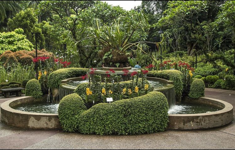 Os jardins botânicos são espaços onde árvores de diversas espécies são preservadas e estudadas. Os JBs , além de manterem parques abertos à visitação, também são instituições de pesquisa.