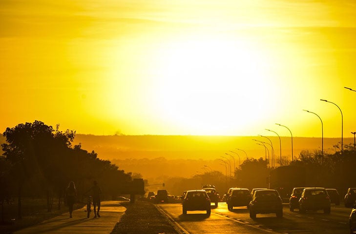 Com a chegada do verão no dia 21 de dezembro, o aumento das temperaturas e da umidade favorece a presença de animais dentro das residências. 