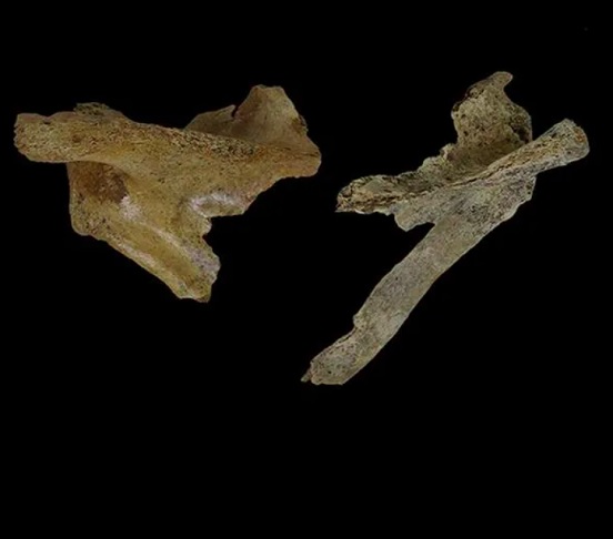 Inicialmente tratado como romano, análises de radiocarbono revelaram que alguns ossos eram da época Neolítica, ou seja, muito mais antigo.