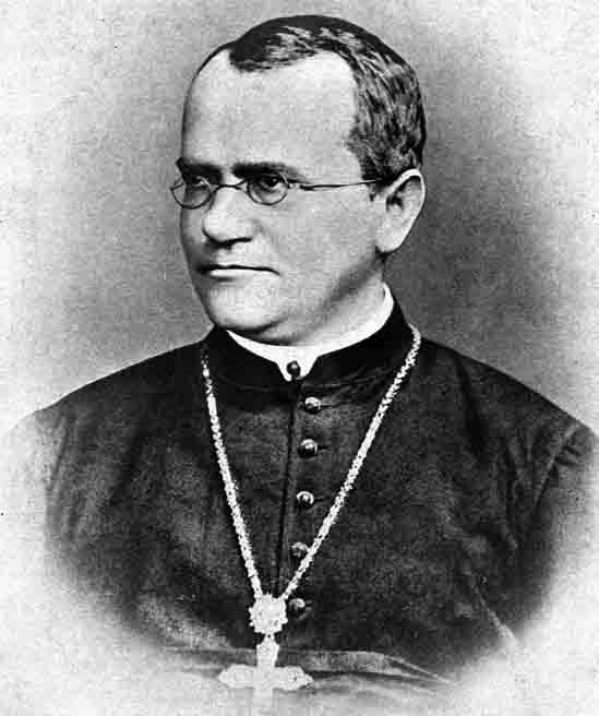 GREGOR MENDEL (1822–1884):
Conhecido como o pai da genética, Mendel descobriu os princípios da hereditariedade ao estudar ervilhas.
