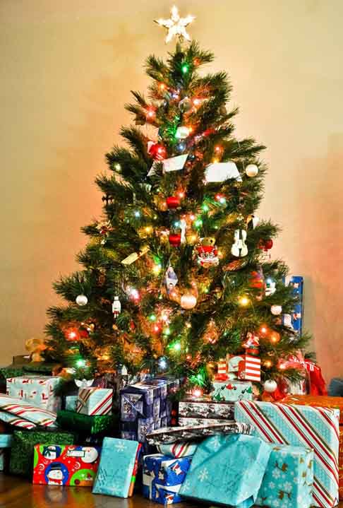 A rainha Vitória e o príncipe Albert, de origem alemã, popularizaram a árvore de Natal no Reino Unido no século XIX. Uma ilustração de 1848 mostrando a família real ao redor da árvore fez o costume se espalhar por toda a Europa e América.