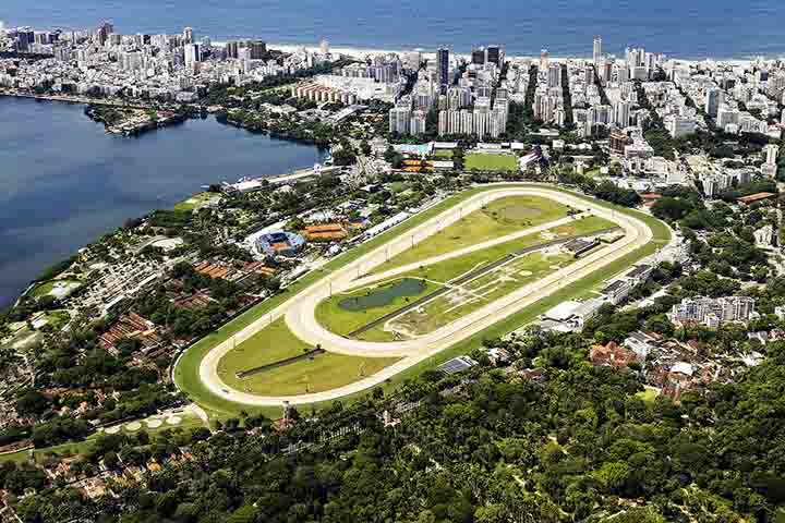 Esse centro de estudos realiza pesquisas de opinião pública, demográficas e análises de conteúdo. Além de outros tipos de pesquisas de ciências sociais.