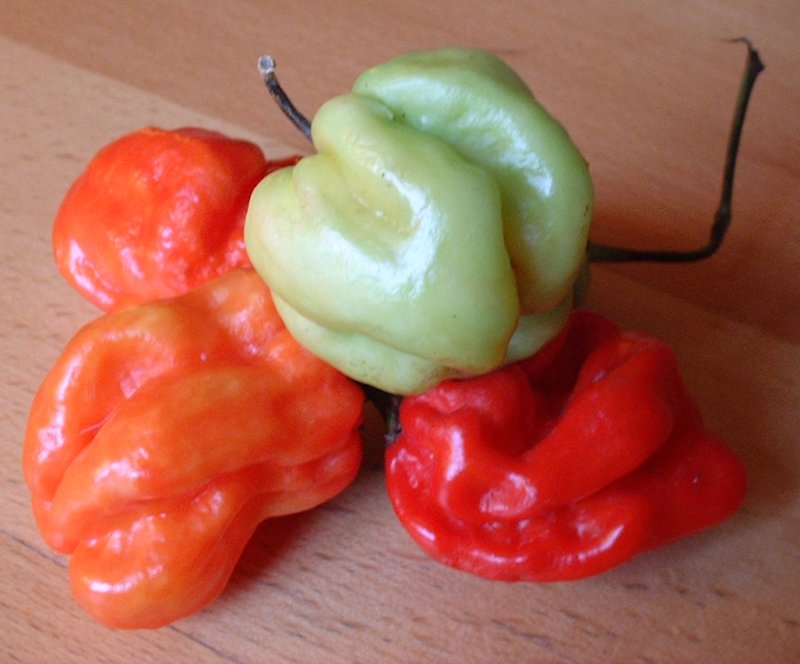 Vamos explorar as pimentas mais ardidas do mundo, suas variedades, origens e a medida em SHU (Scoville Heat Unit - ou Unidade de Calor Scoville), ou seja, o índice que aponta a intensidade da ardência do produto. 