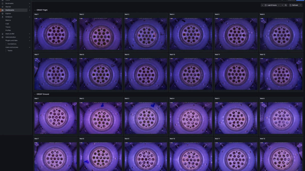 Imagem de organoides na Esta&ccedil;&atilde;o Espacial Internacional