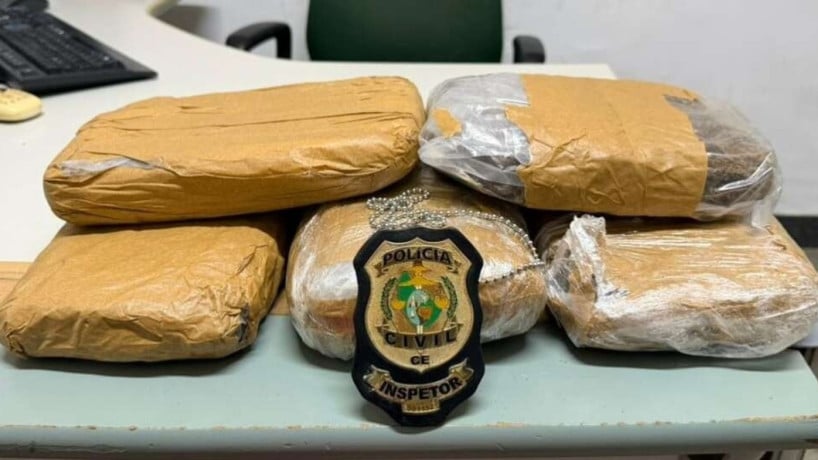 O material foi apresentado à delegacia responsável pelas diligências 