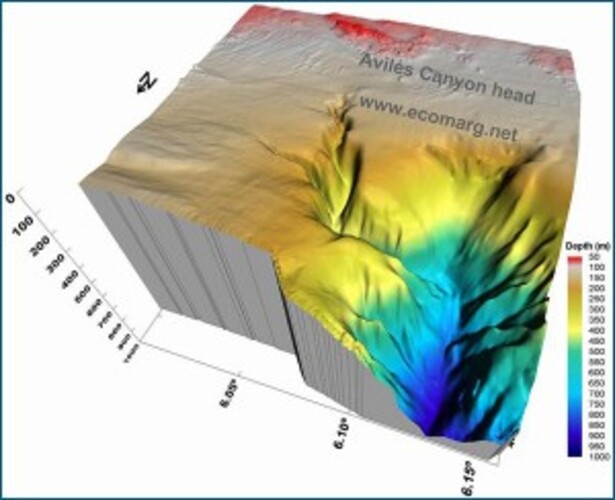 O cânion mais profundo do mundo fica na costa da Espanha . É o Canyon de Avilés, conhecido como Caladero de Carrandi.Na ilustração, o tom mais escuro do azul  é o ponto mais abaixo da superfície, que chega a 4.700 metros de profundidade. 