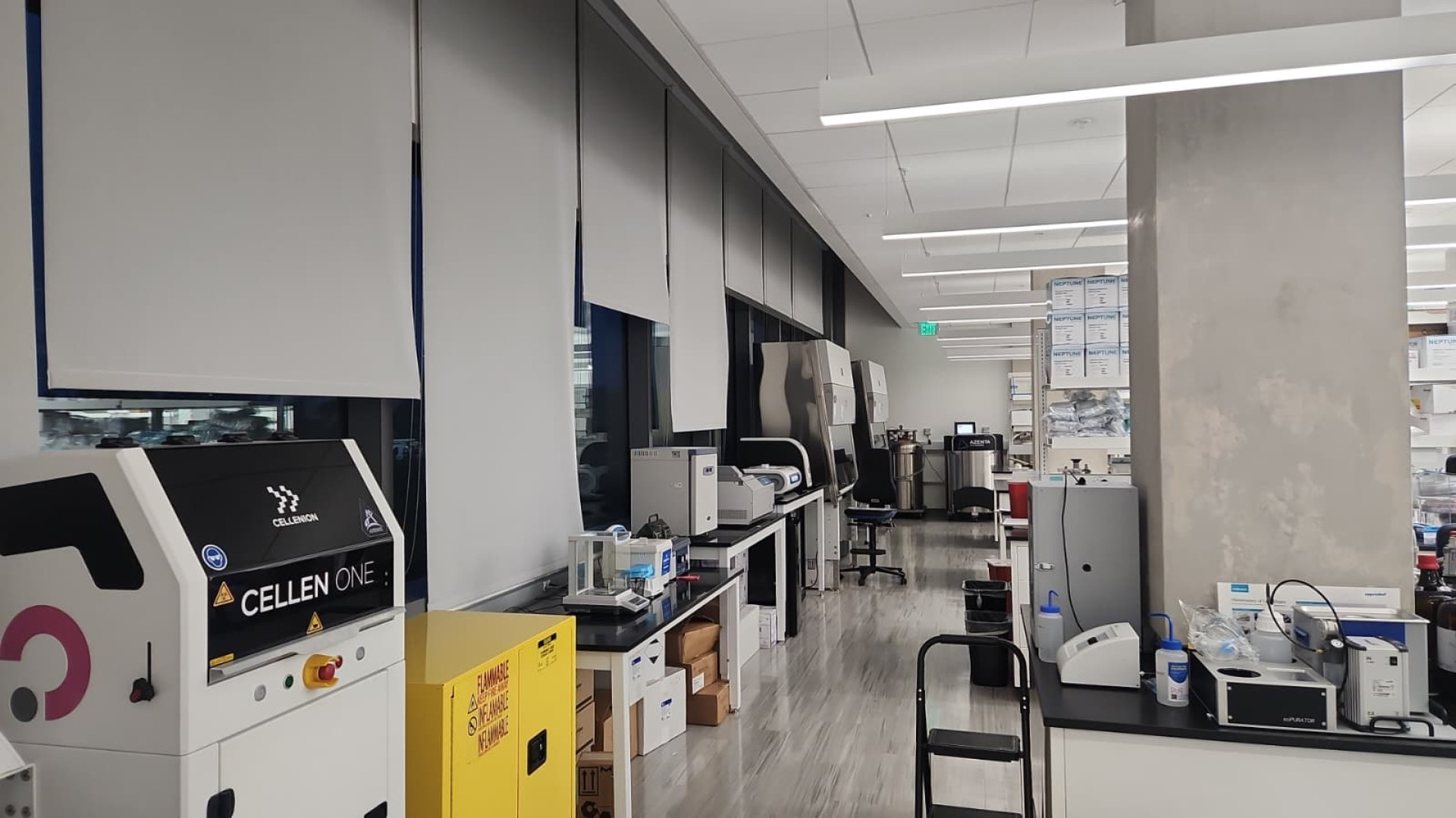 Imagem do laboratório de Aline Martins, vice coordenadora da pesquisa sobre o medicamento no tratamento de Síndrome de Rett, na Nasa