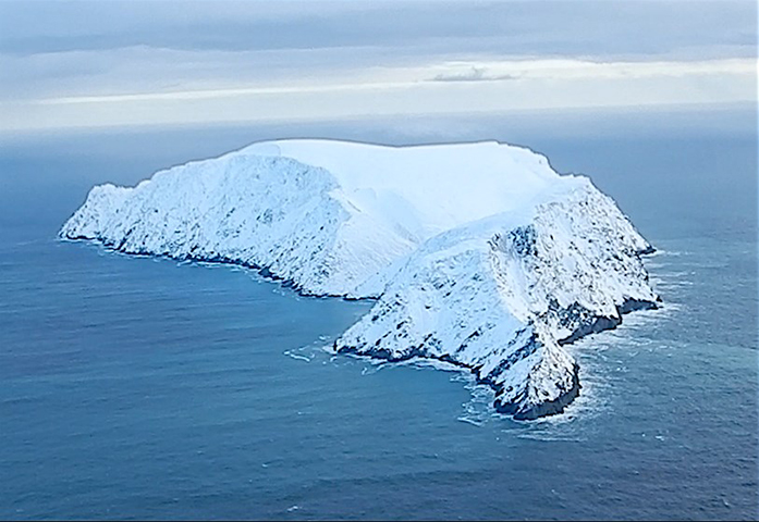 Um dos exemplos mais notáveis é a misteriosa Ilha Jeannette do Ártico, localizada no arquipélago das Ilhas De Long, no leste da Sibéria.