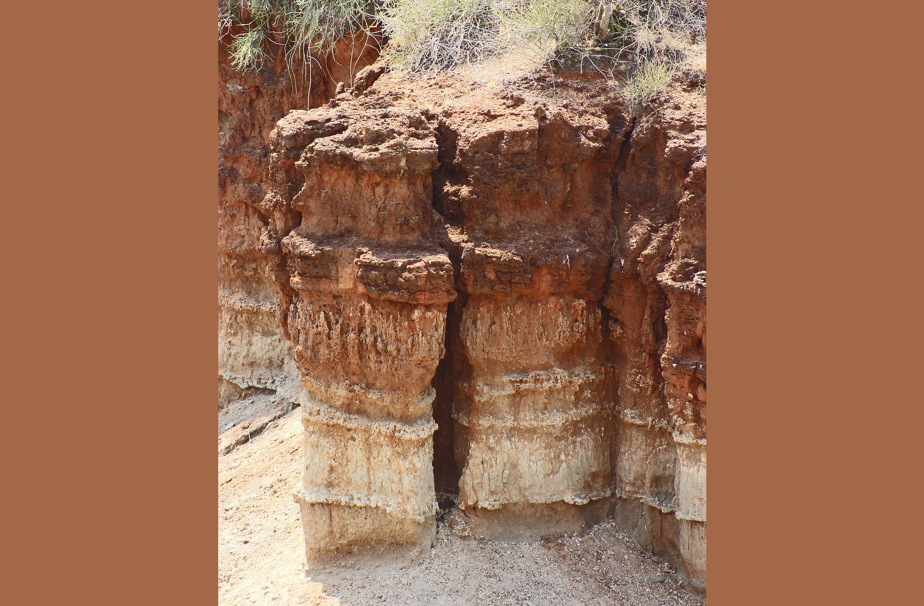 As camadas geológicas de Olduvai funcionam como um livro da pré-história, permitindo datar com precisão os fósseis e reconstruir a linha do tempo da evolução.