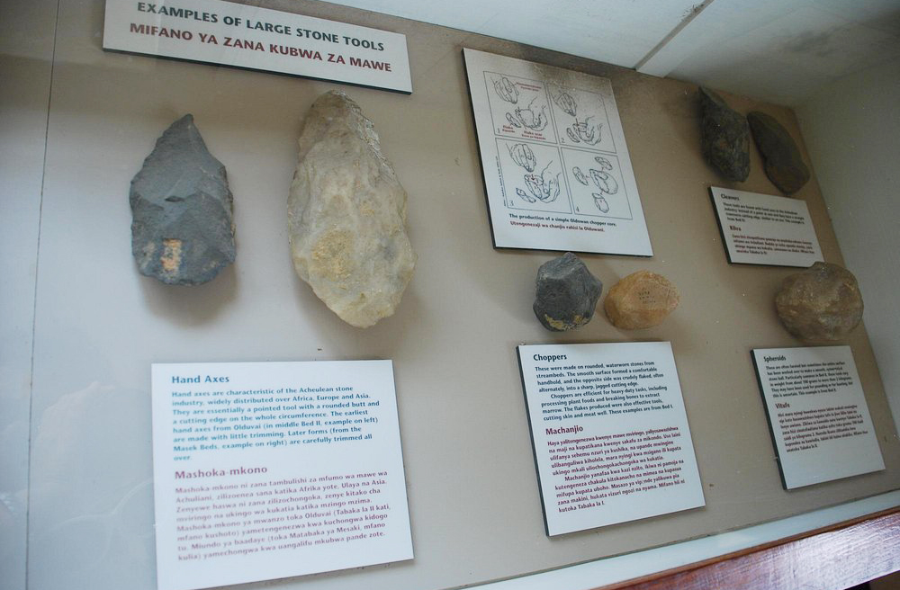 A região foi moldada por atividade tectônica e vulcânica, criando camadas sedimentares que preservaram fósseis e artefatos por milhões de anos.