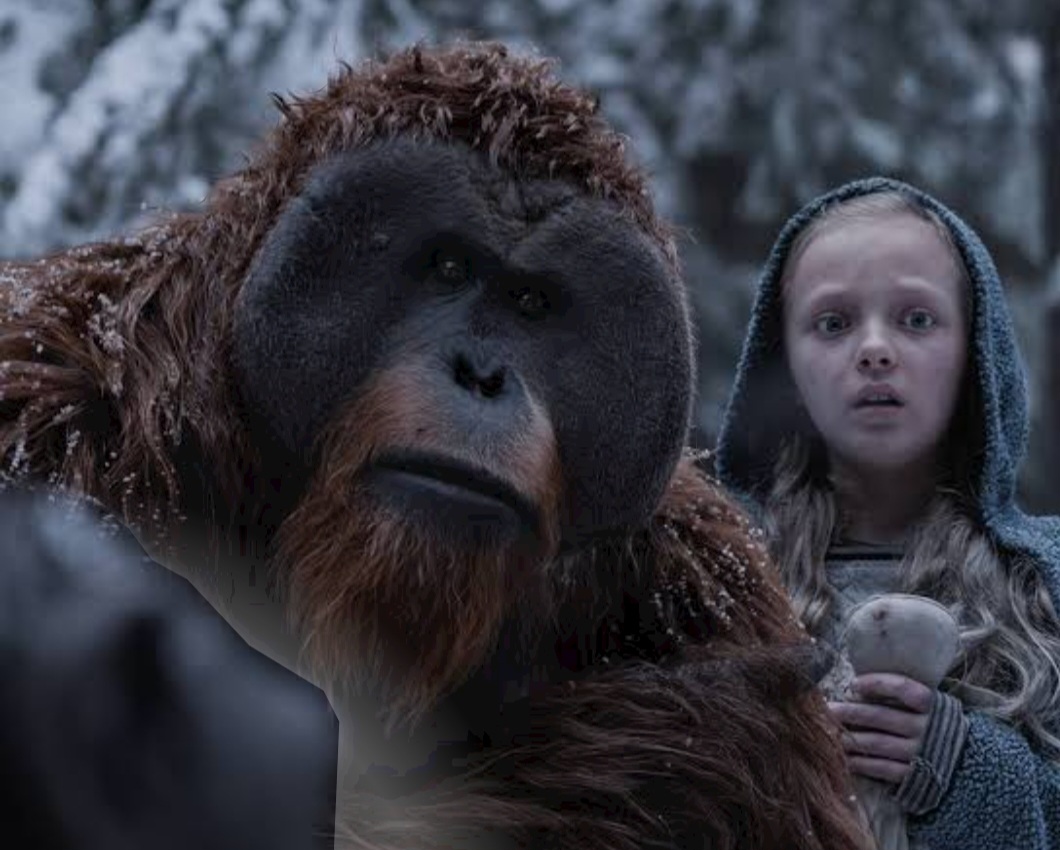 O macaco Maurice, querido do público na franquia O Planeta dos Macacos - uma espécie de conselheiro do líder Cesar - é um orangotango. E no filme sobre a guerra protege a menina encontrada na selva. 