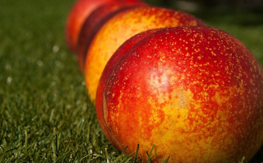 Após chegar ao solo europeu, o pêssego começou a aparecer também na América, quando exploradores espanhóis o levaram ao México já em 1600, e também em outras regiões do continente. 