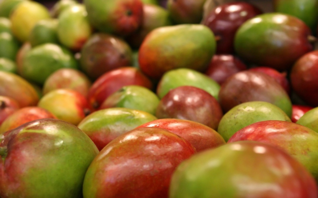 Assim, a manga possui raízes na Ásia, com seu cultivo na Índia há mais de cinco mil anos. Ela, então, se tornou uma fruta nacional em três países diferentes: Índia, Paquistão e Filipinas. 