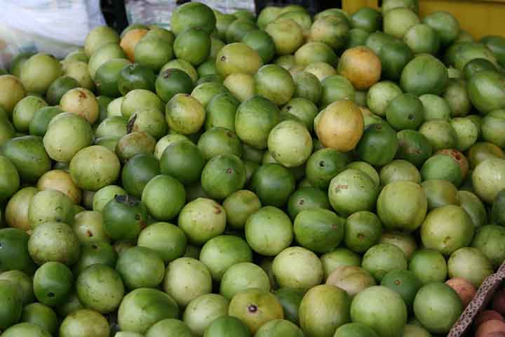 O estudo foi realizado em colaboração entre a Embrapa e cientistas da Universidade Federal do Rio Grande do Sul. Ele tratou de consolidar o umbu como uma promissora matéria-prima.