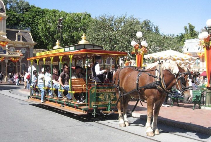 Os Pope ajudariam a entender quais animais seriam adequados para os shows e cenários, e o que seria necessário para mantê-los.