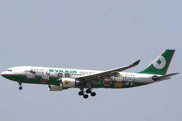 A Sanrio já promoveu a Hello Kitty até em avião comercial, um Airbus A330-200 a jato, denominado Hello Kitty Jet.
