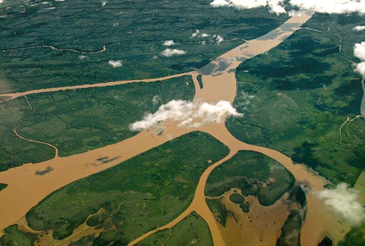 O Delta do Paraná, onde está localizada a ilha, é uma grande região úmida no nordeste da Argentina, formada pelo rio Paraná ao se aproximar de sua foz no Rio da Prata. 