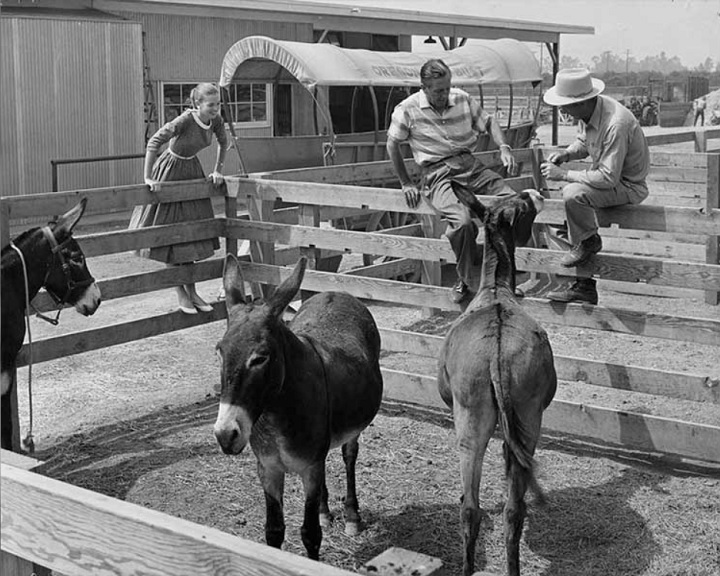 Na época, o casal Owen e Dolly Pope fazia exibições de cavalos pela Califórnia e morava em uma van de apenas 9 metros.