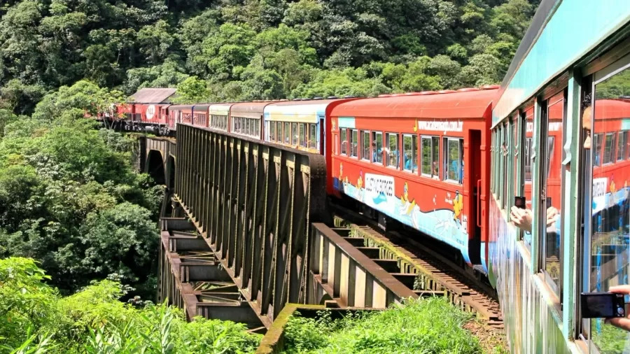 No Brasil, há viagens de trem que passam por diversos pontos turísticos, com pacotes que geralmente incluem paradas estratégicas para que os passageiros possam conhecer melhor cada região. A seguir, o Flipar apresenta algumas excelentes opções de passeios sobre trilhos para aproveitar pelo país.