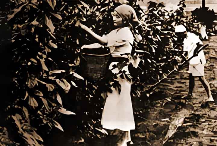 O Dia Nacional da Imigração Japonesa, celebrado anualmente em 18 de junho, marca a chegada ao Brasil dos primeiros imigrantes nipônicos. Eles se tornariam uma grande comunidade integrada ao país. 