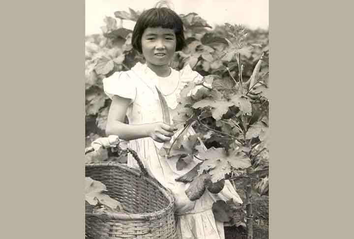 A chegada de imigrantes criou uma mistura na cultura local, que pôde beber da fonte de outros costumes e foi afetada por vestimentas, culinárias e línguas diferentes. Além disso, a presença de indivíduos de outros países pôde incrementar a economia nacional e impulsioná-la. 