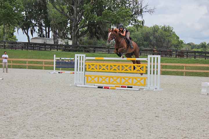 A cidade de Ocala, localizada no Condado de Marion, Flórida, nos Estados Unidos, é amplamente reconhecida e considerada a Capital Mundial do Cavalo. Afinal, essa área é um berço de campeões, produzindo cavalos puro-sangue que venceram corridas icônicas como o Kentucky Derby.