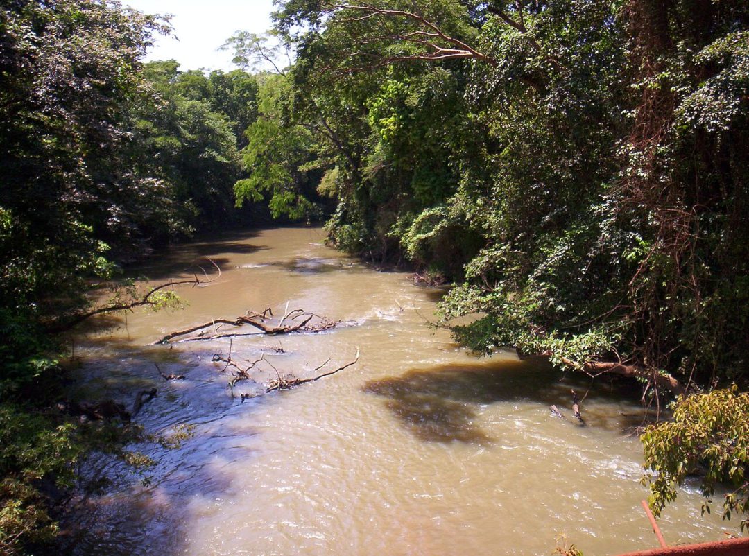 O rio São Francisco nasce na Serra da Canastra, em Minas Gerais, até desaguar no Oceano Atlântico, entre os estados de Alagoas e Sergipe. 
