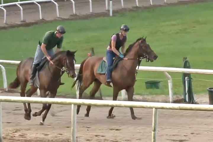  O WEC, inaugurado em 2021, é um complexo moderno com múltiplas arenas, estábulos, lojas e hotel de luxo, recebendo competições o ano todo.