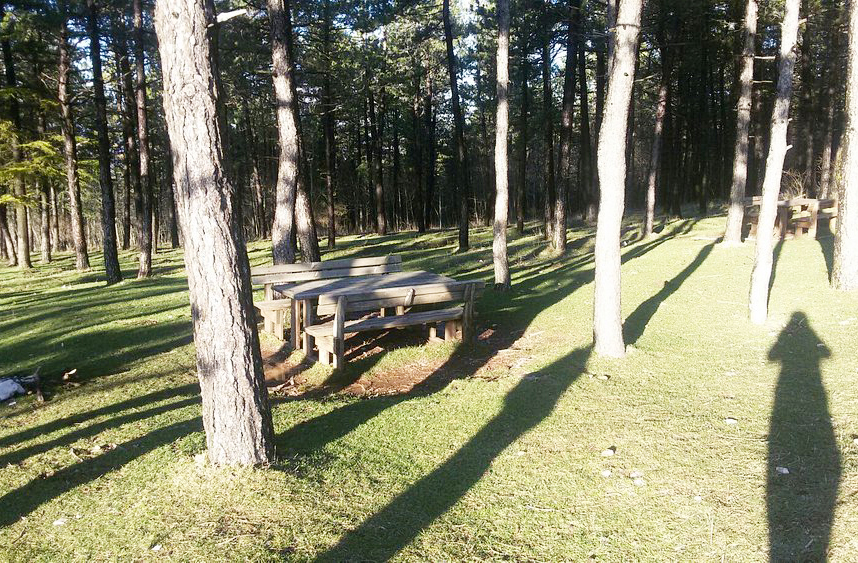O Parque Regional do Monte Subásio é uma área protegida que oferece trilhas ecológicas, vistas deslumbrantes e contato direto com a natureza. É ideal para caminhadas contemplativas e observação de fauna.