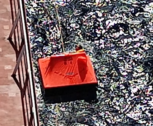 Trata-se de Marcelo Osanai, de 38 anos, que estava acompanhado de seu amigo, um suíço de 52 anos, e um capitão alemão. Apenas os dois primeiros conseguiram entrar em um pequeno bote salva-vidas e foram resgatados por um petroleiro argentino no meio do Oceano Atlântico.