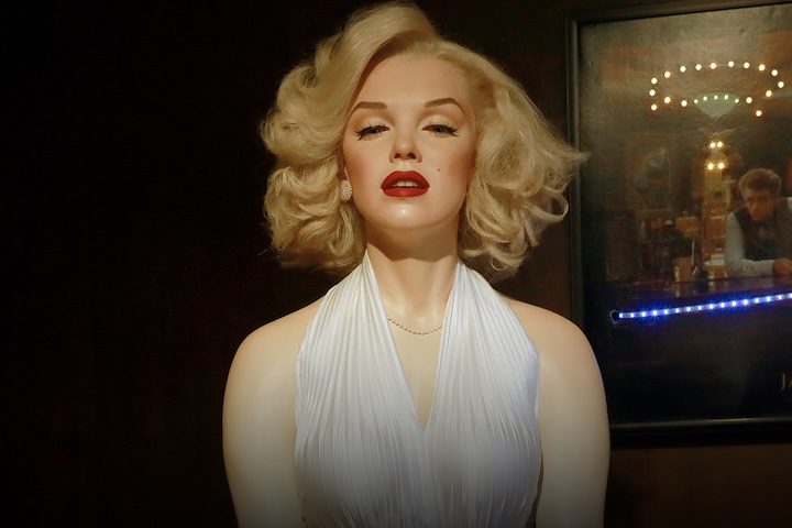 Por lá. pode-se encontrar réplicas de personalidades como Albert Einstein, Rainha Elizabeth II, Elvis Presley, Gisele Bündchen, Zico, Messi, além de personagens de cinema como Darth Vader e Yoda, em cenários interativos.