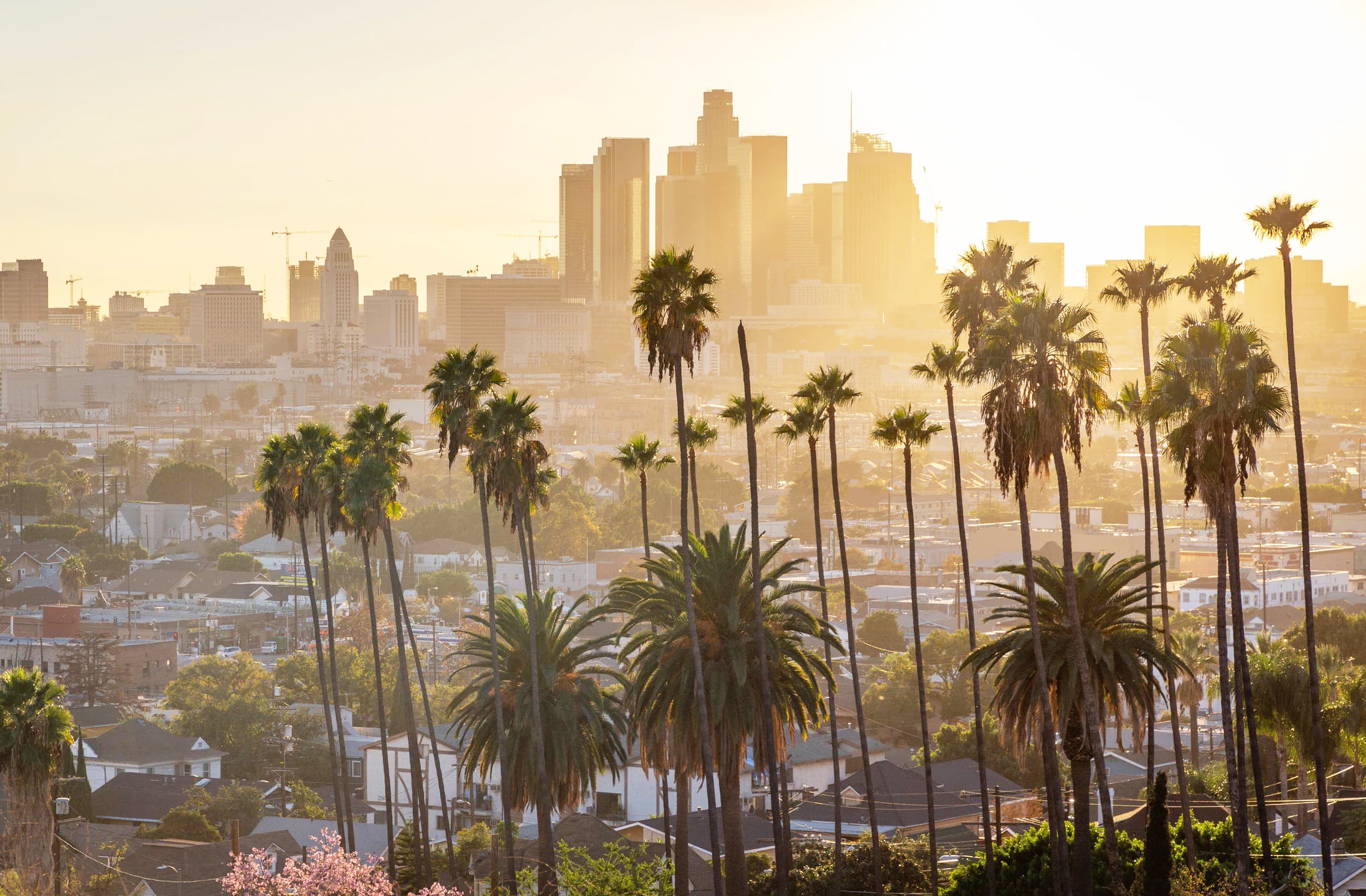 Localizada no ensolarado estado da Califórnia, Los Angeles é a segunda maior área metropolitana dos Estados Unidos, com quatro milhões de habitantes. Centro global de cultura, comércio, mídia e tecnologia, com vasta diversidade cultural e étnica, hoje considerada a capital do entretenimento. 
 