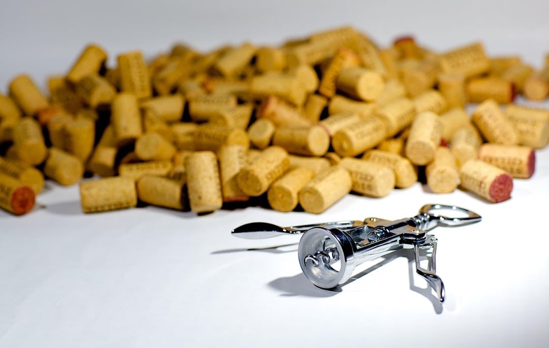 Dessa forma, as rolhas de cortiça natural ajudam a regular a umidade, melhoram a oxigenação da terra e contribuem para a drenagem. Algo fundamental para evitar o excesso de água e o risco de apodrecimento das raízes.